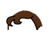 hairfront_hairfront-darkbrown_Layer 40.png