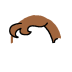 hairfront_hairfront-brown_Layer 40.png
